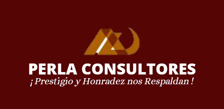 Perla Consultores